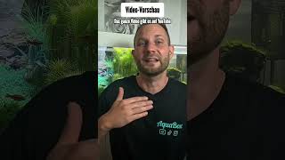 Warum filtern wir unser Aquarium? | Muss man sein Aquarium überhaupt filtern?