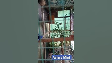 Aviary Mini, semoga betah di rumah baru  😁#cipoh #pleci #perkutut #aviary #aviarymini