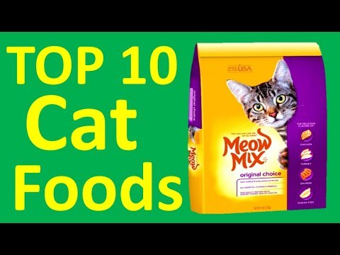Top 10 Cat Foods | Best Cat food 2018 || - YouTube