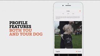 Dating app for people with pets screenshot 4