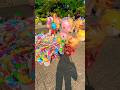 balon kucing dan macan loreng