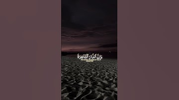 القرا الشيخ ياسر الدوسري  سوره العنكبوت #استغفر_الله_واتوب_إليه_استغفر_الله_العظيم #صبرو #راحة_نفسية