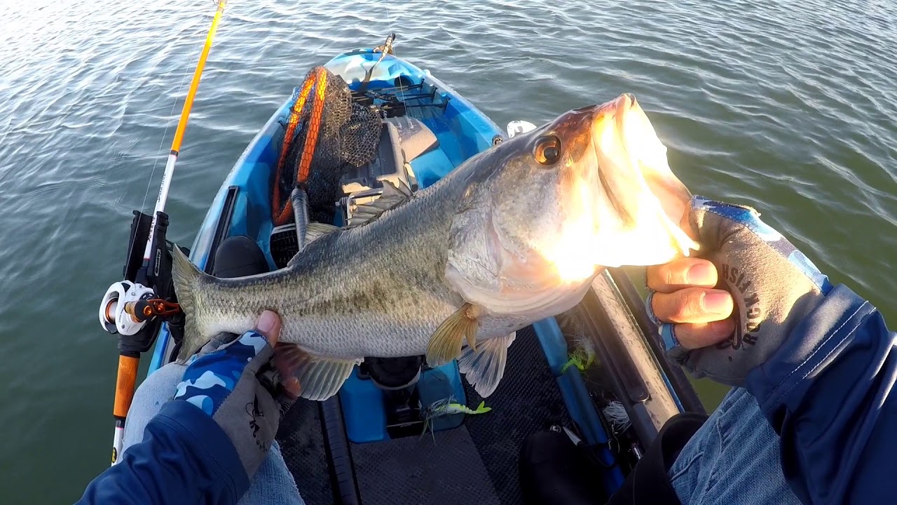 PESCANDO EN LAKE PFLUGERVILLE!! YouTube