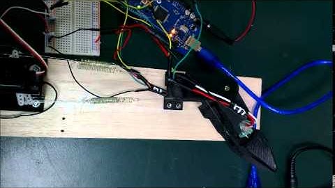 ｜DIT Robotics｜Biomimetic fish