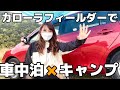 【車中泊キャンプ】簡単メスティンで燻製！ヘビトンボに襲われた夜！【女子キャンプ】
