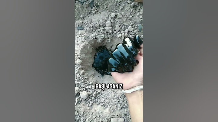 Petrol Bulunca Sevinenler ve Korkanlar: Suudi Arabistan'ın Şaşırtan Gerçeği! ⛽️😱