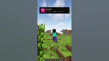 EPIC Minecraft Mo