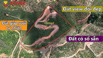 Bán 10.000m2 đất giáp suối xã Đại Lào, TP. Bảo Lộc