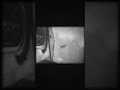 Vampyr (1932): la escena mas inquietante del cine de terror