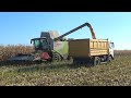 Комбайн Claas Lexion 760 работает на уборке кукурузы