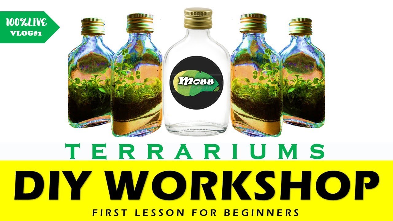 Terrarium build Terrarium for beginners Sri Lankan Terrarium