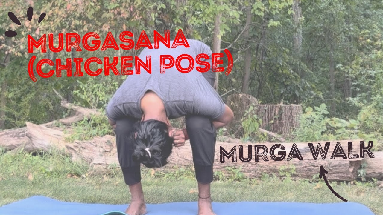 murgasana-chicken-pose-murgasana-walk-youtube