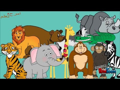 حيوانات الغابة تعليم اطفال امرح وتعلم Youtube