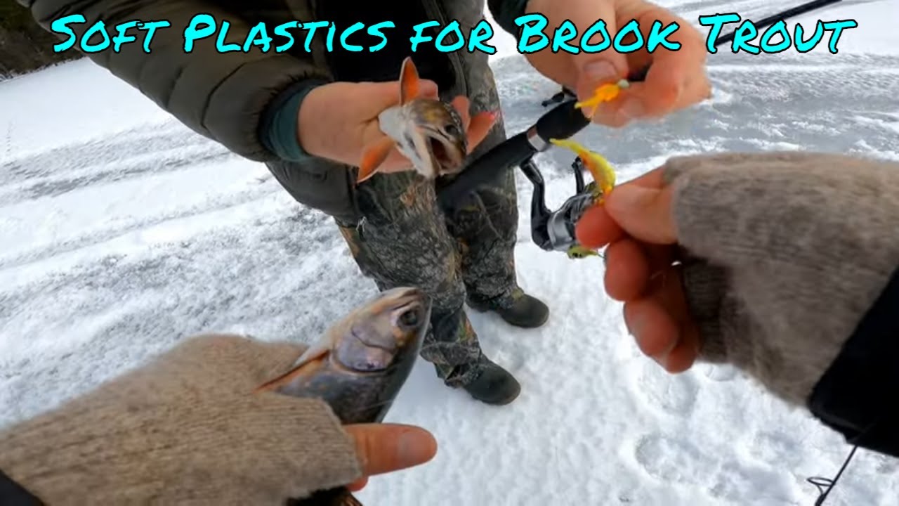 Icefishing Brook Trout with Soft Plastics Jewel Lake British Columbia YouTube