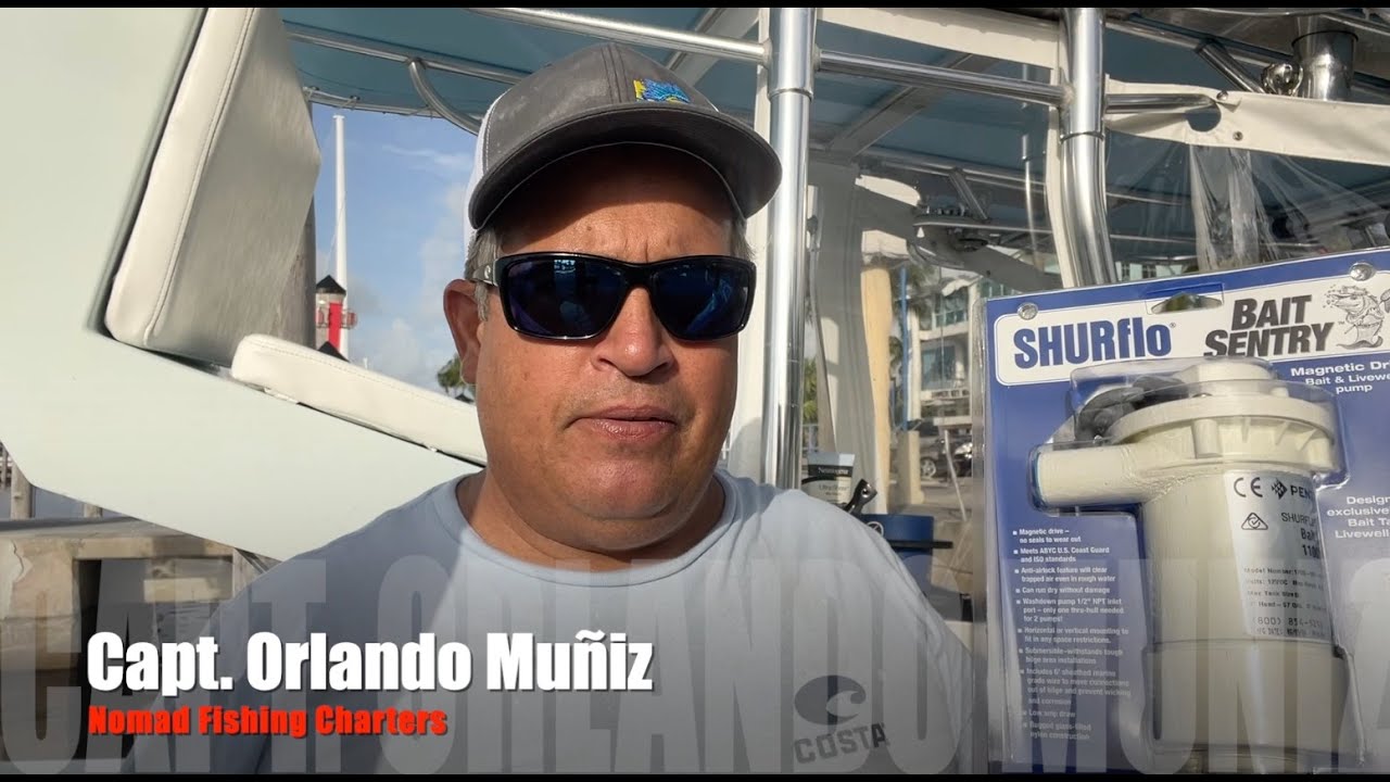 Shurflo Bait Sentry Mag-Drive Livewell Pump 1700-011-030