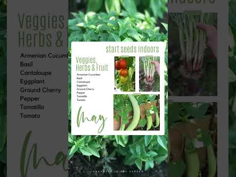 Video: Tipy pre regionálnu záhradu: Výsadba mája v severozápadných štátoch