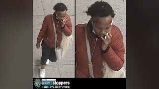 Mother repeatedly stabbed in Brooklyn while pushing stroller: Police