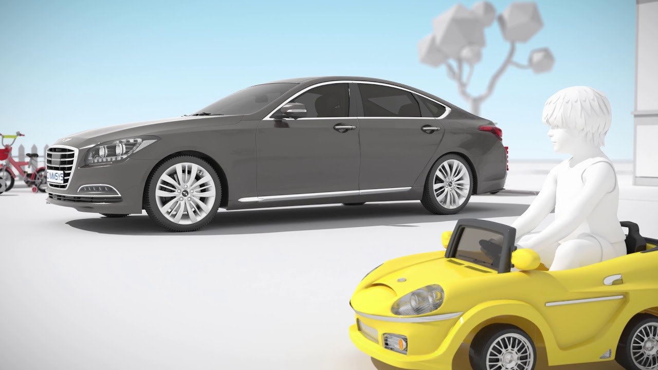 Cammsys Introduction & ADAS cameras