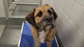 acs A686809