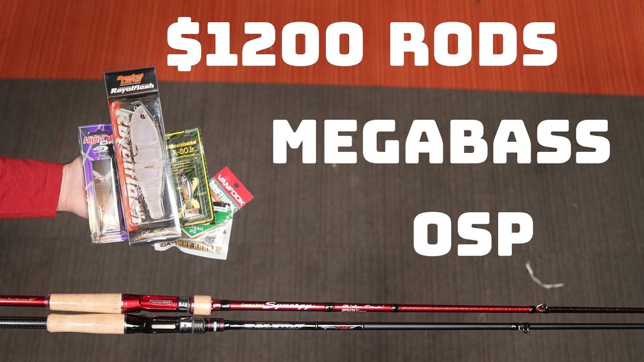 What's New This Week! Ever Green Japan Returns, Megabass