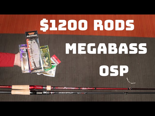 What's New This Week! Ever Green Japan Returns, Megabass