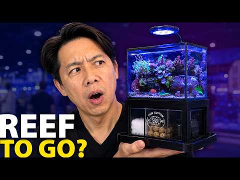 Reefapalooza Got Weird…
