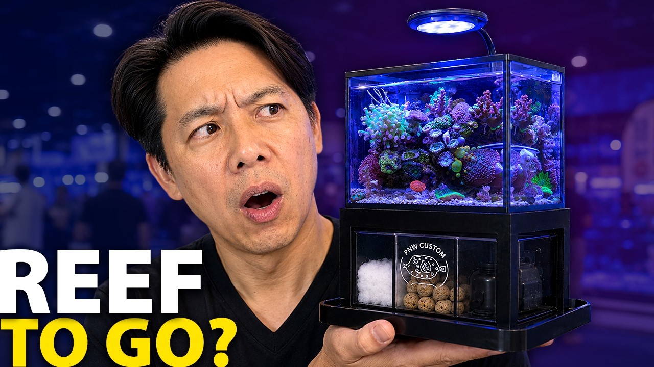 Reefapalooza Got Weird…