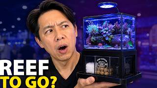 Reefapalooza Got Weird…