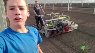 VLOG UIT DE KAS #6 Renzo Grootscholten | Daily Fresh Radish
