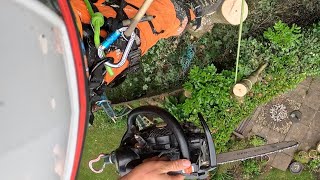 medium tree dismantle with basic rigging techniques