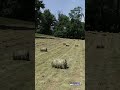🚜 Flying high over hard work. These mini round bales didn’t roll themselves!