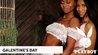 Playboy Plus HD - Galentines Day