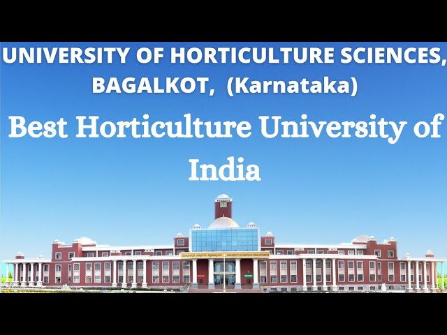 Bagalkot horticulture university recruitment 2020