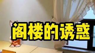 这样的阁楼你喜欢吗？为媳妇打造一个阁楼，很多女人都有一个公主梦，住在满墙花开的城堡里赵先生的家小号装修小院时光阁楼装修避坑别墅