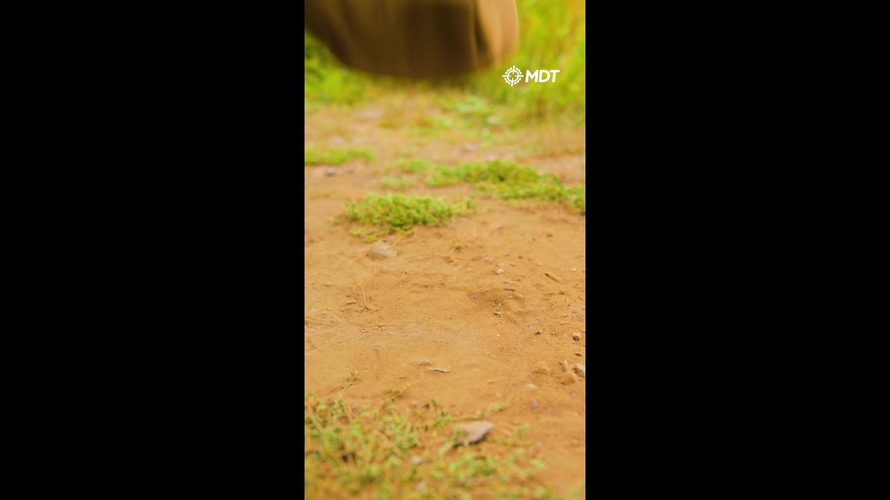 It's been 1 year since the launch of the MDT CRBN 😎