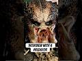 Interview with The Predator!