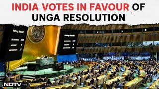 India At UN | At UN, India Votes In Favour Of Palestine's Bid To Become Full Member