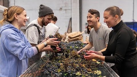 The London winery where you crush the grapes