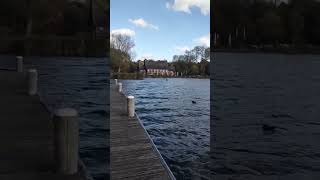 Kraligens Bos Rotterdam #amazing