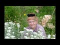 Зову тебя своей  - Автор Анатолий Мякушкин  музыка и поёт Алмас Багратиони