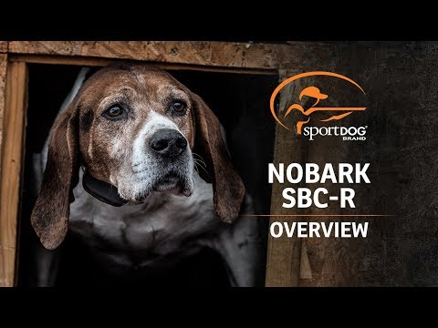 SportDOG Brand® NoBark SBC-R Overview