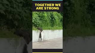 Funny Stuff - Wtf Fail Moments -Together We Are Strong