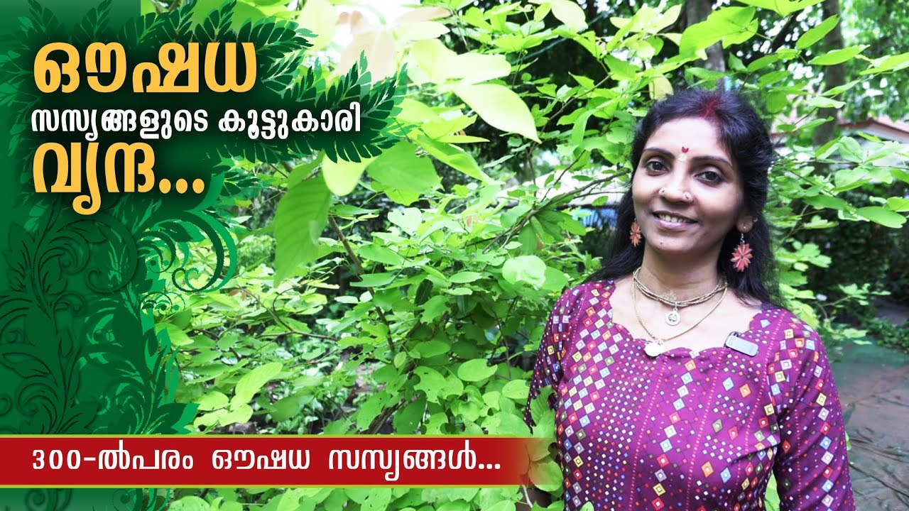 300-ൽ പരം ഔഷധ സസ്യങ്ങളുമായി ഷീബ രാജു | Rare Herbal Plants&Medicinal Plants And Uses