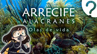 Arrecife Alacranes, olas de vida. -Documental