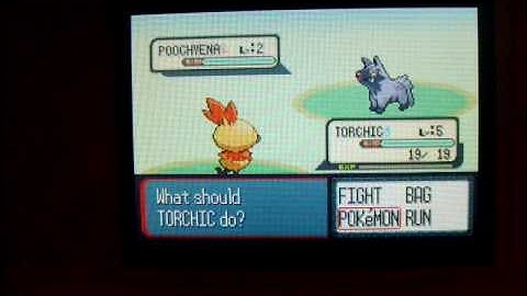 LIVE Shiny Torchic in Ruby! First shiny of 2010!