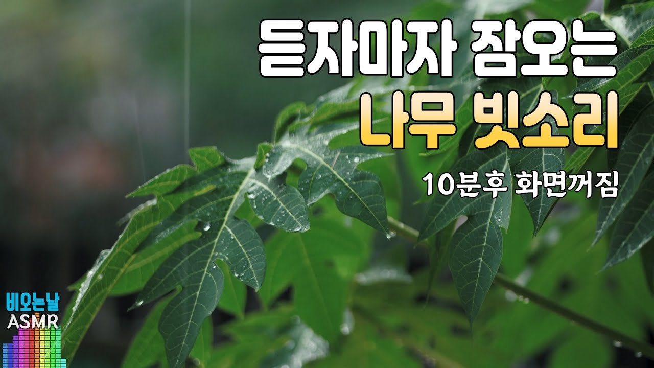 듣자마자 바로 잠오는 나무 빗소리/ 이명치료효과/ 10분후 화면꺼짐