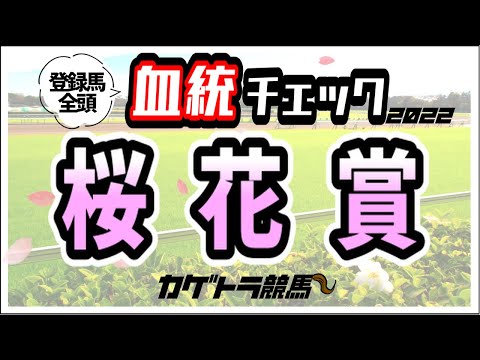 桜花賞2022【競馬予想】過去15年血統徹底検証！高配当期待フラグ3頭！ナミュール1強？【血統チェック】