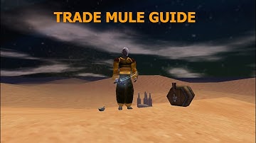 Trade Mule Build and Gear Guide | Asheron