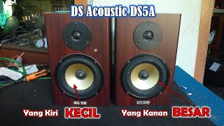 Ds Acoustic Ds5a Active Speaker Damaged Unbalanced Sound