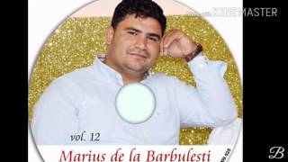 Marius din Barbulesti - Totul este trecator
